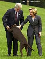 clinton_dog_clintonsdo1.jpg